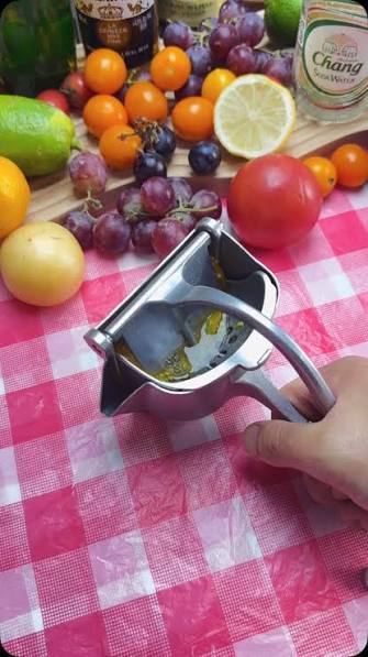Stainless steel hand press juicer being used with fresh fruits